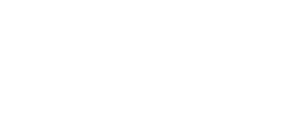 Partners IMG Vegas Marco logo