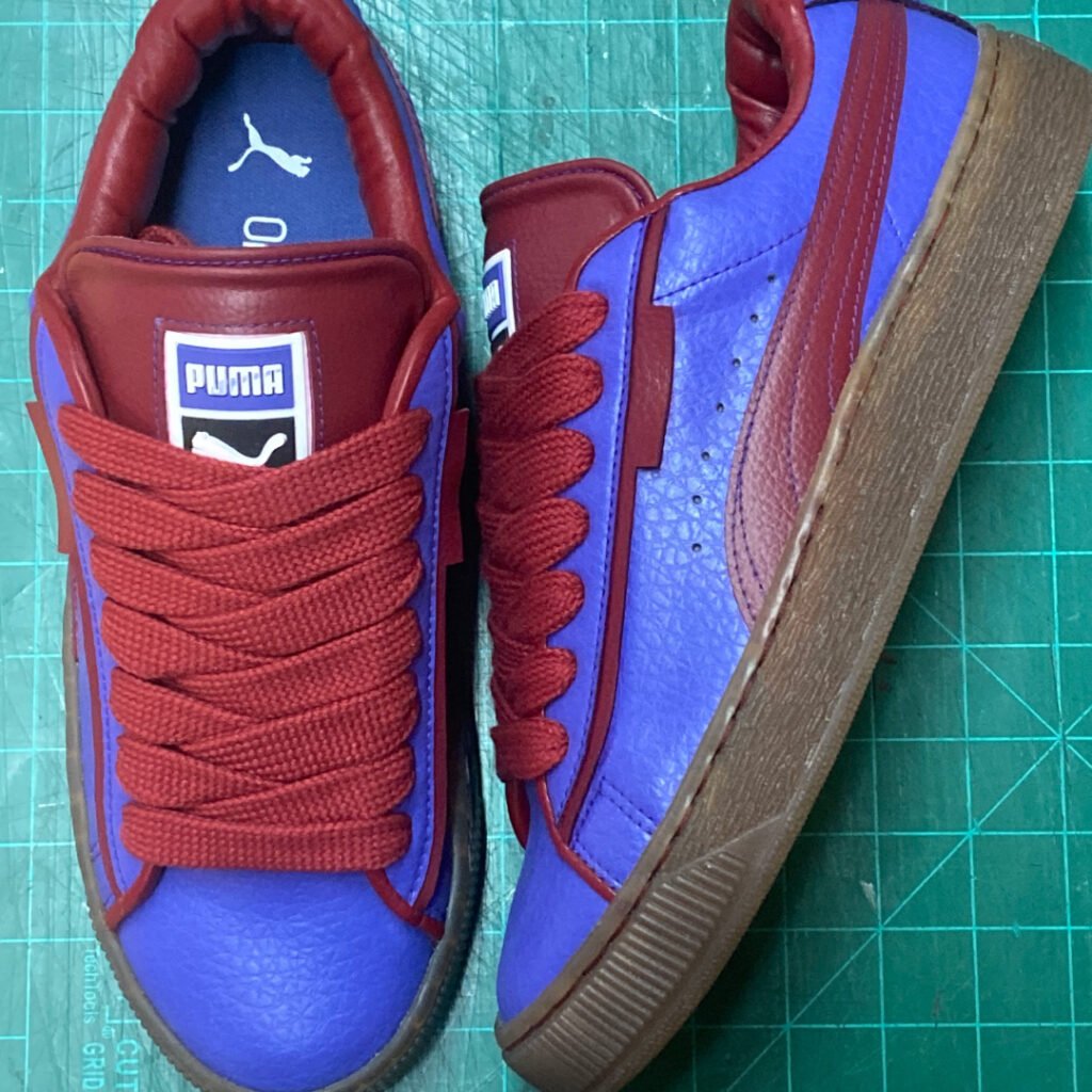 UNC Puma 1