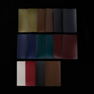 Elevate Signature Full Collection Swatch Set